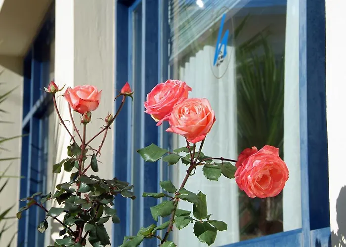 卡拉法提酒店 酒店 3*